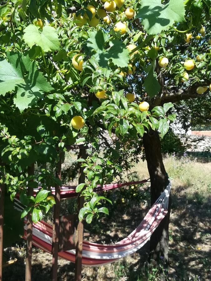Solar Dos Carvalhos Bed & Breakfast Sernancelhe Екстериор снимка